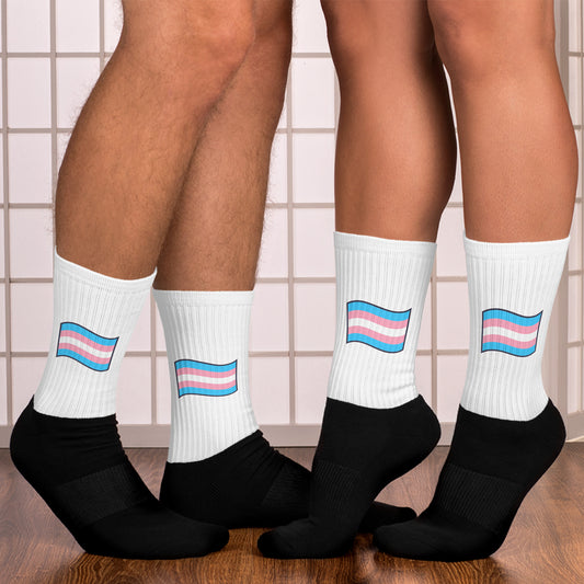 Trans Pride Socks